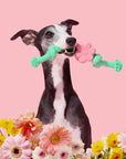Vetreska Playful Charm Knot Rope Toy - Flora