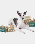 Vetreska Santal Forest Pet Poop Bags Refill Set - 20 rolls
