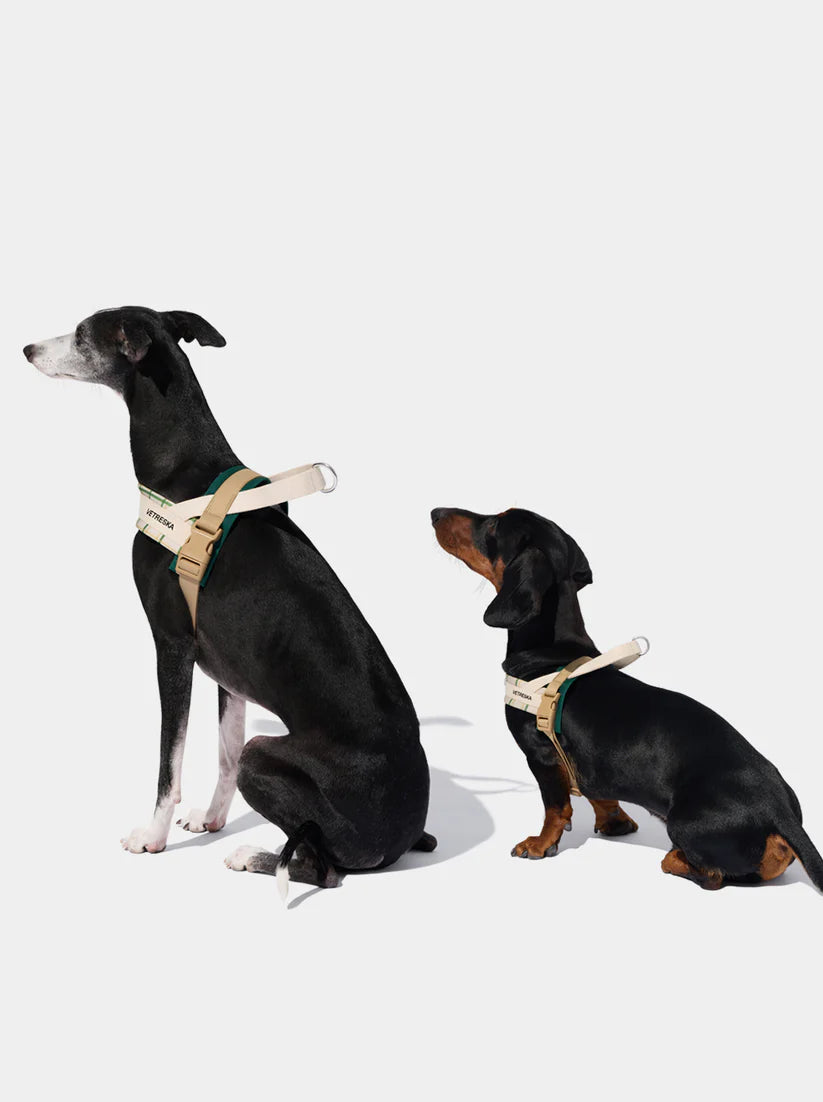 Vetreska Santal Forest Pet Harness &amp; Leash Set