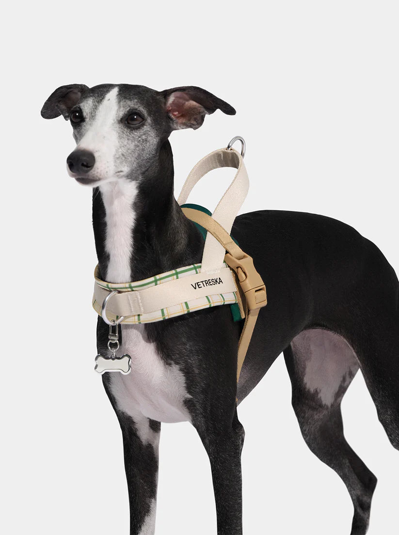 Vetreska Santal Forest Pet Harness &amp; Leash Set