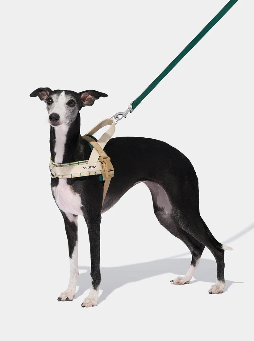 Vetreska Santal Forest Pet Harness &amp; Leash Set