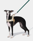 Vetreska Santal Forest Pet Harness & Leash Set