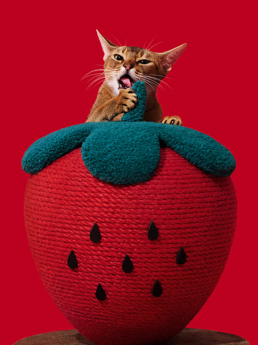 Vetreska Strawberry Cat Scratching Ball