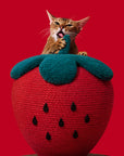Vetreska Strawberry Cat Scratching Ball