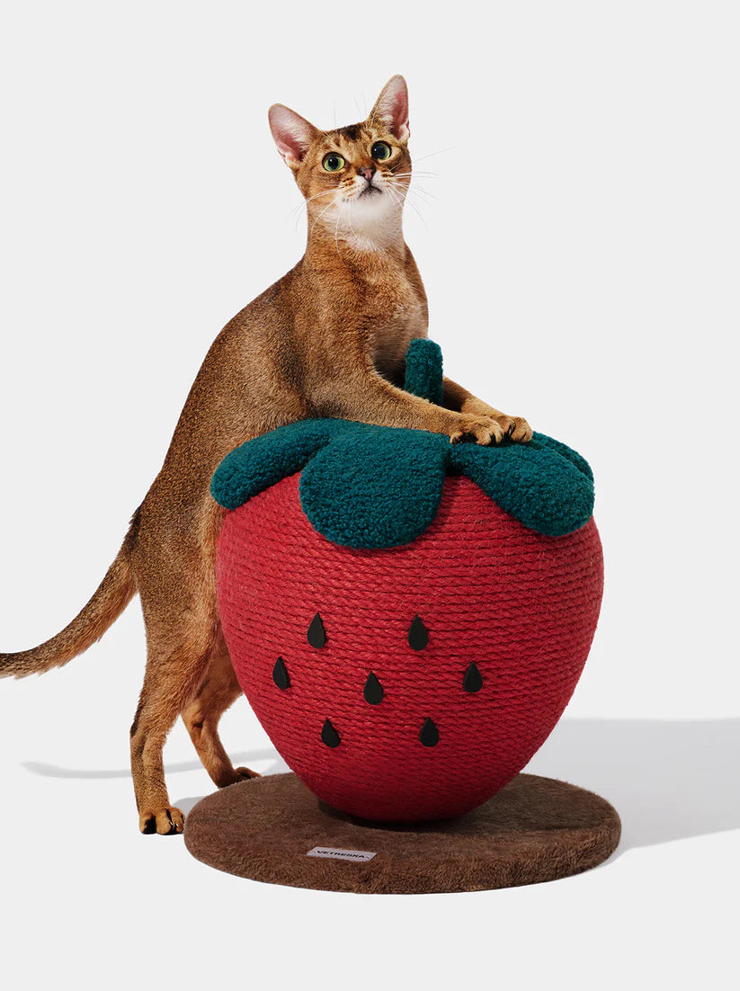 Vetreska Strawberry Cat Scratching Ball