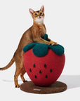 Vetreska Strawberry Cat Scratching Ball