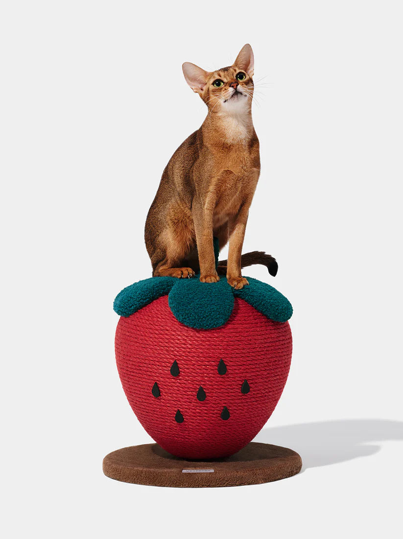 Vetreska Strawberry Cat Scratching Ball