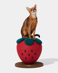 Vetreska Strawberry Cat Scratching Ball
