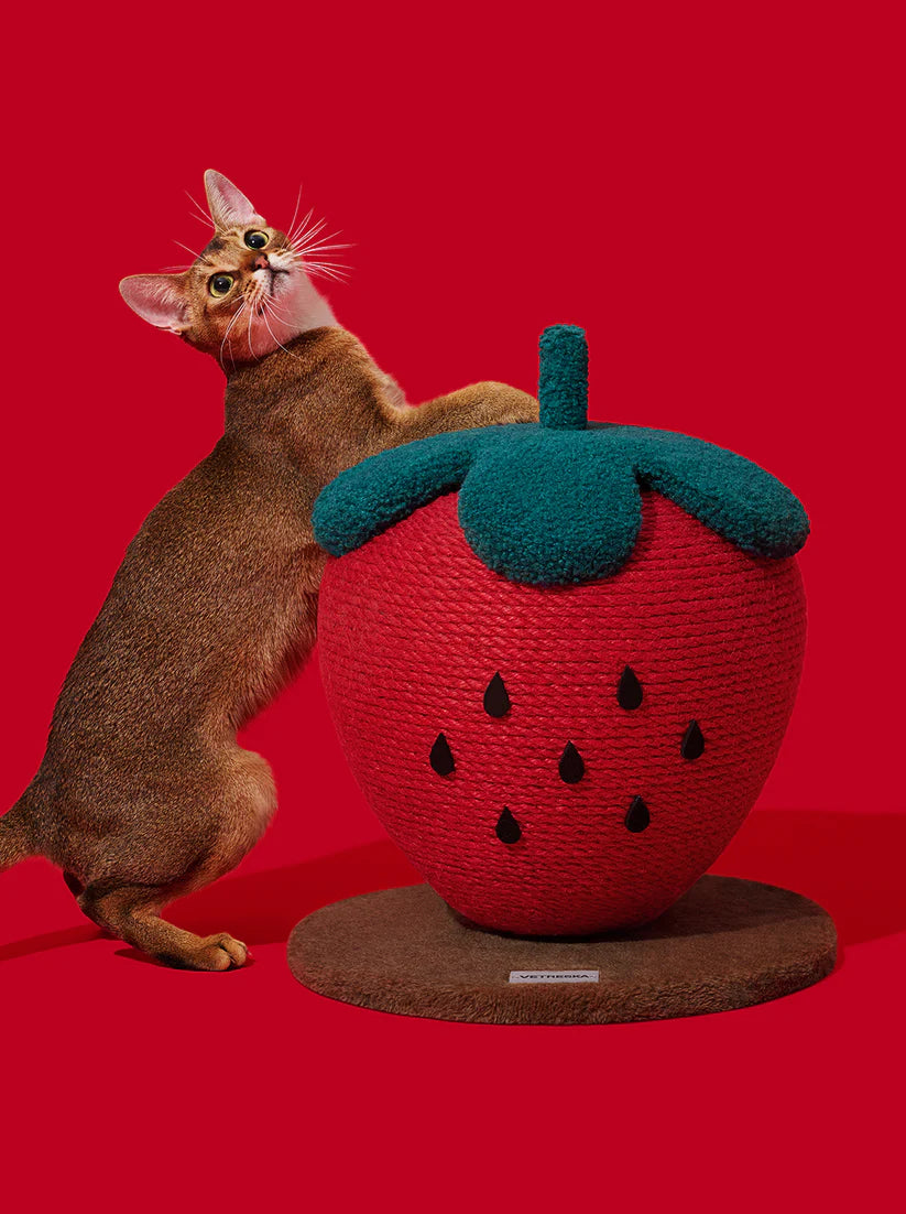 Vetreska Strawberry Cat Scratching Ball