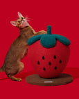 Vetreska Strawberry Cat Scratching Ball