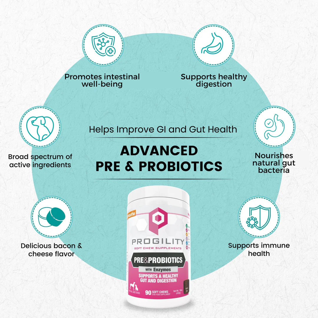 Progility Pre & Probiotic Soft Chew Supplement | The Modern Dog Company ...