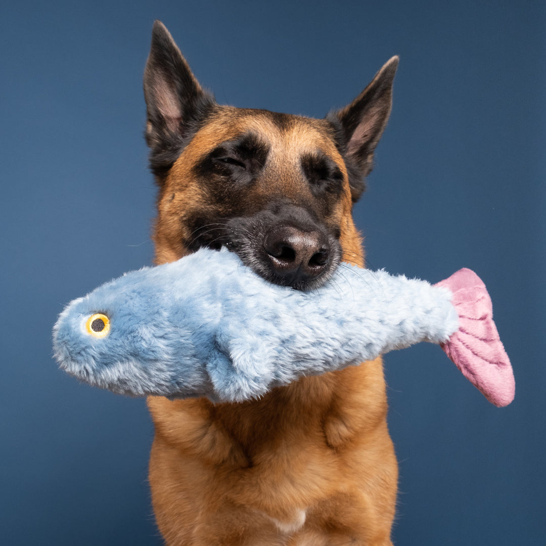 Fluff &amp; Tuff Fitz Fish