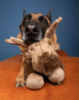 Fluff & Tuff Trax Moose