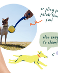 Woof Forager Flyball - 3 Pack