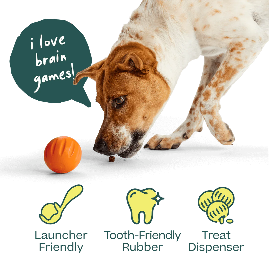Woof Forager Flyball - 3 Pack