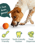 Woof Forager Flyball - 3 Pack