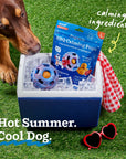 Woof Pupsicle Calming BBQ Pops