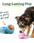 Woof Pupsicle Birthday Pops