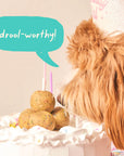 Woof Pupsicle Birthday Pops