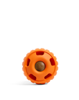WOOF Pumpkin Pupsicle