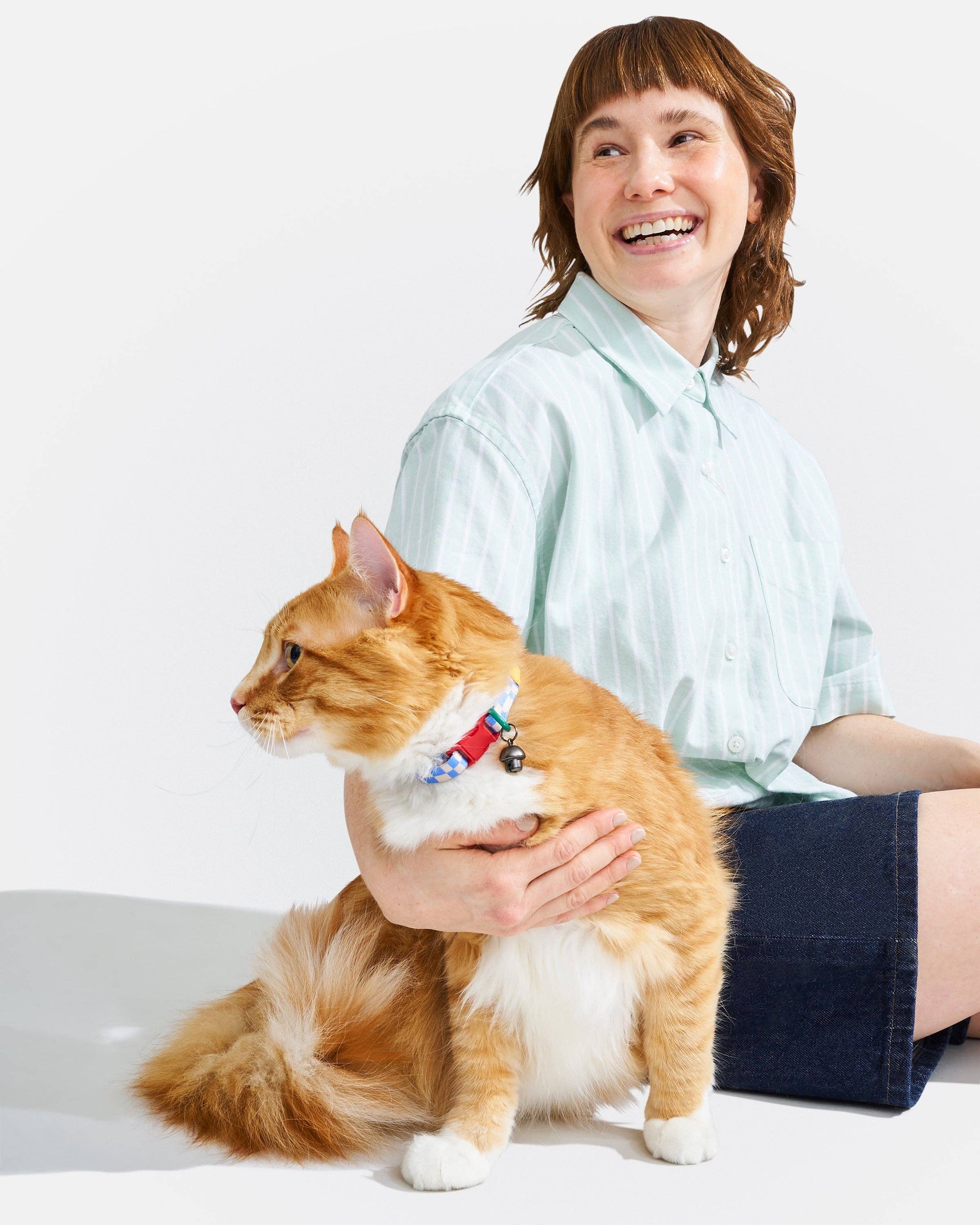 Wild One - Breakaway Cat Collar: S / M • Cat / Bubblegum