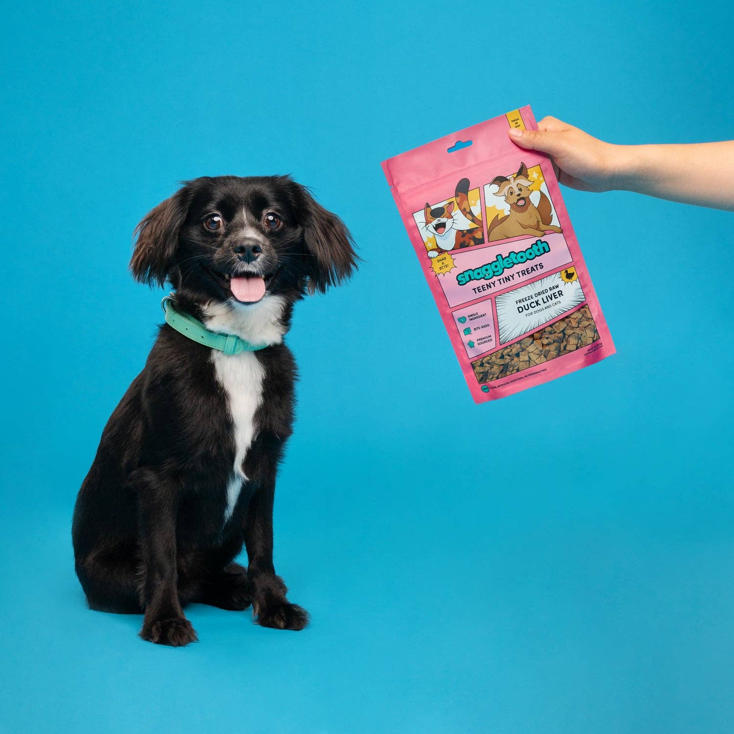 Snaggletooth Pets - Duck Liver Teeny Tiny Treats
