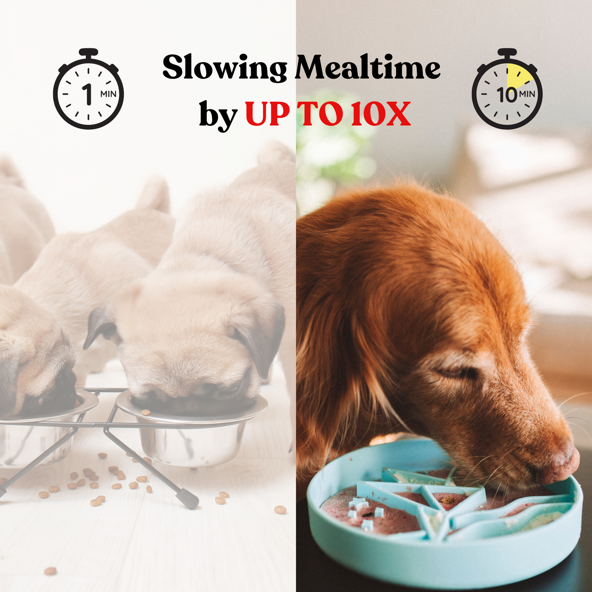 Barks and Brownies - Signature Origami Slow Feeder Berry