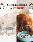 Barks and Brownies - Signature Origami Slow Feeder Berry