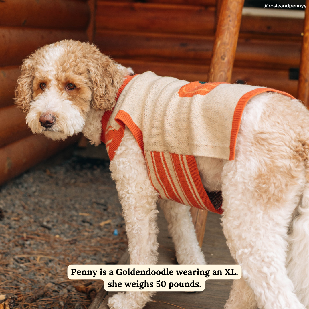 Lucy &amp; Co. - Oh My Gourd Sweater