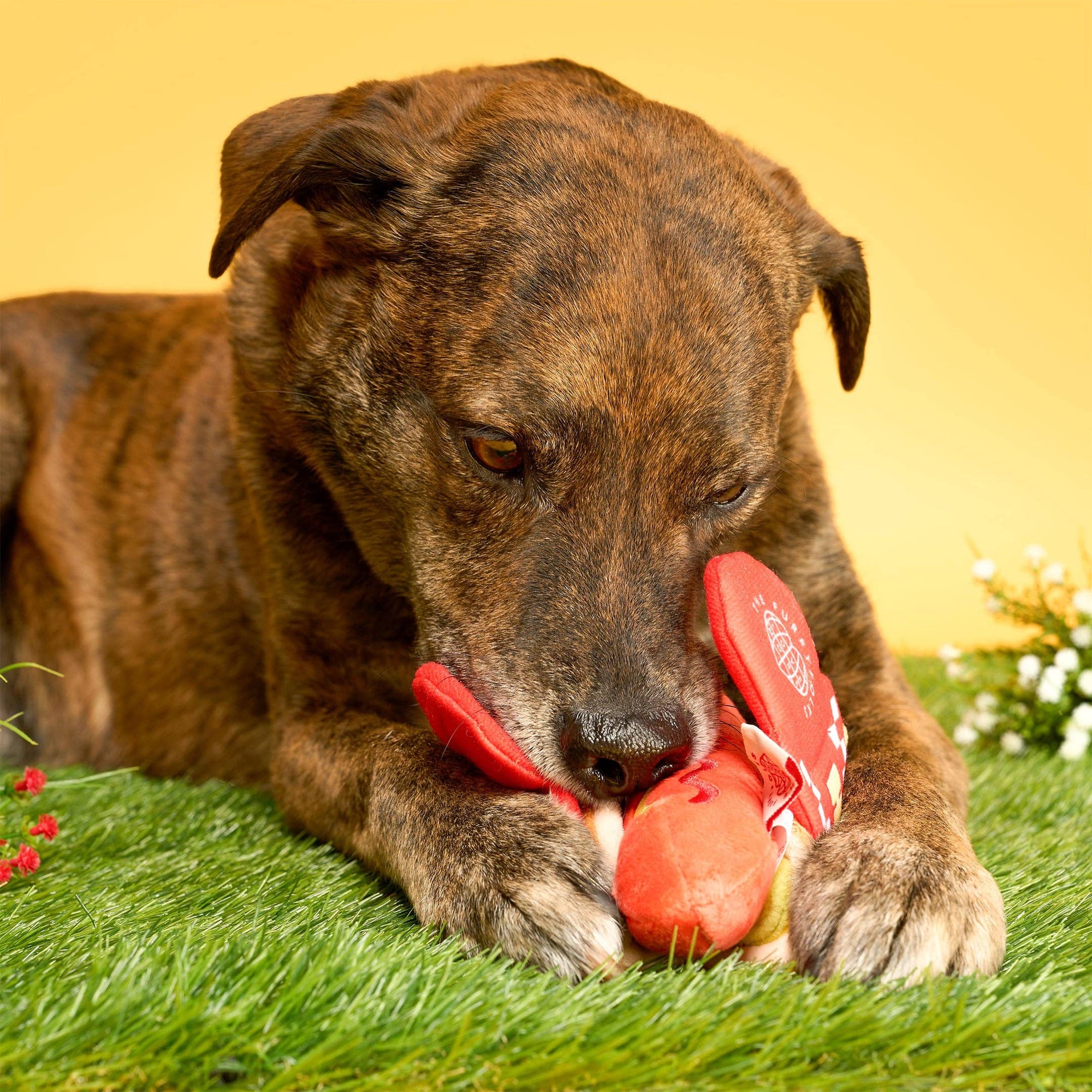 the furryfolks - Hot Doggie Nosework Toy