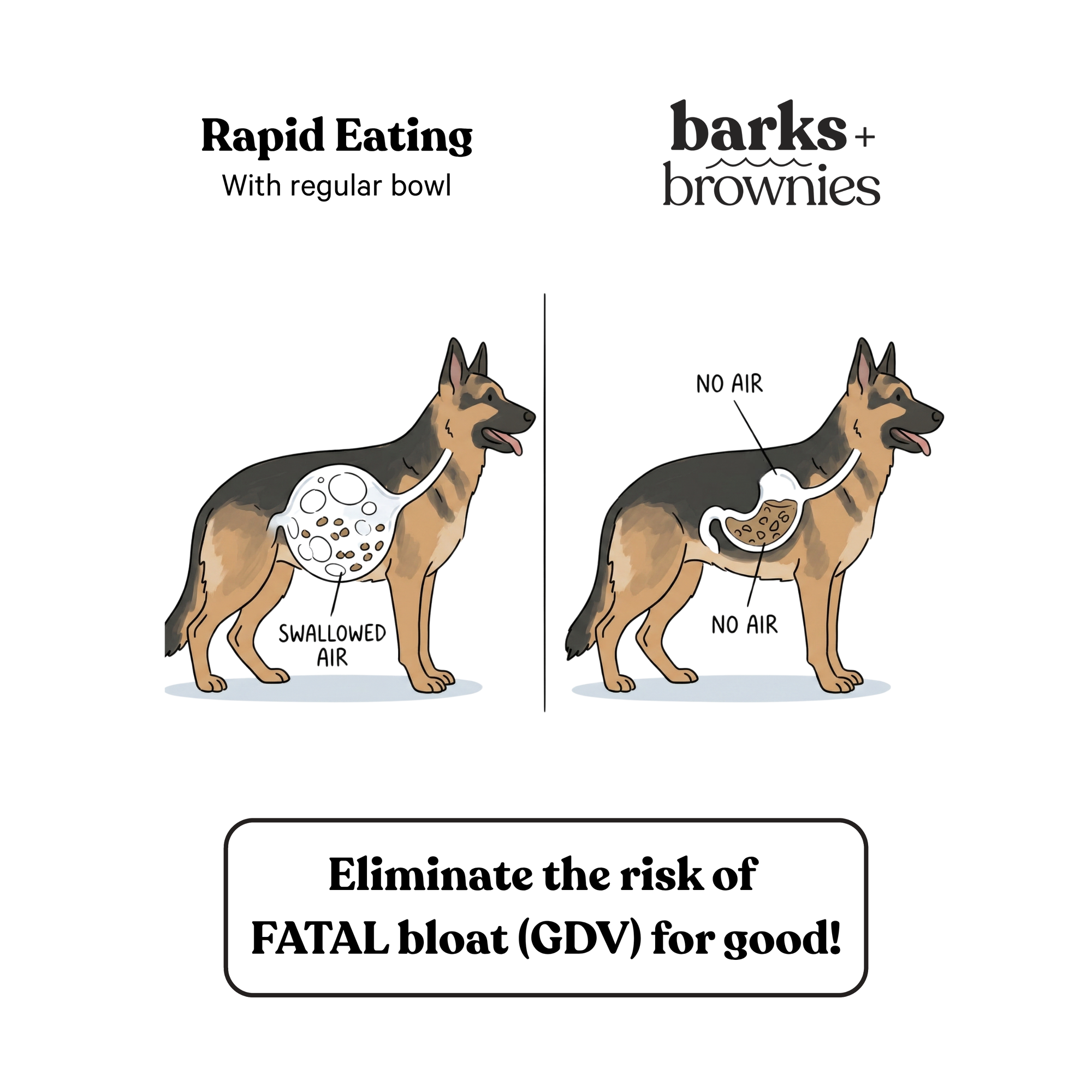 Barks and Brownies - NEW ! Tandem Slow Feeder Oat Milk