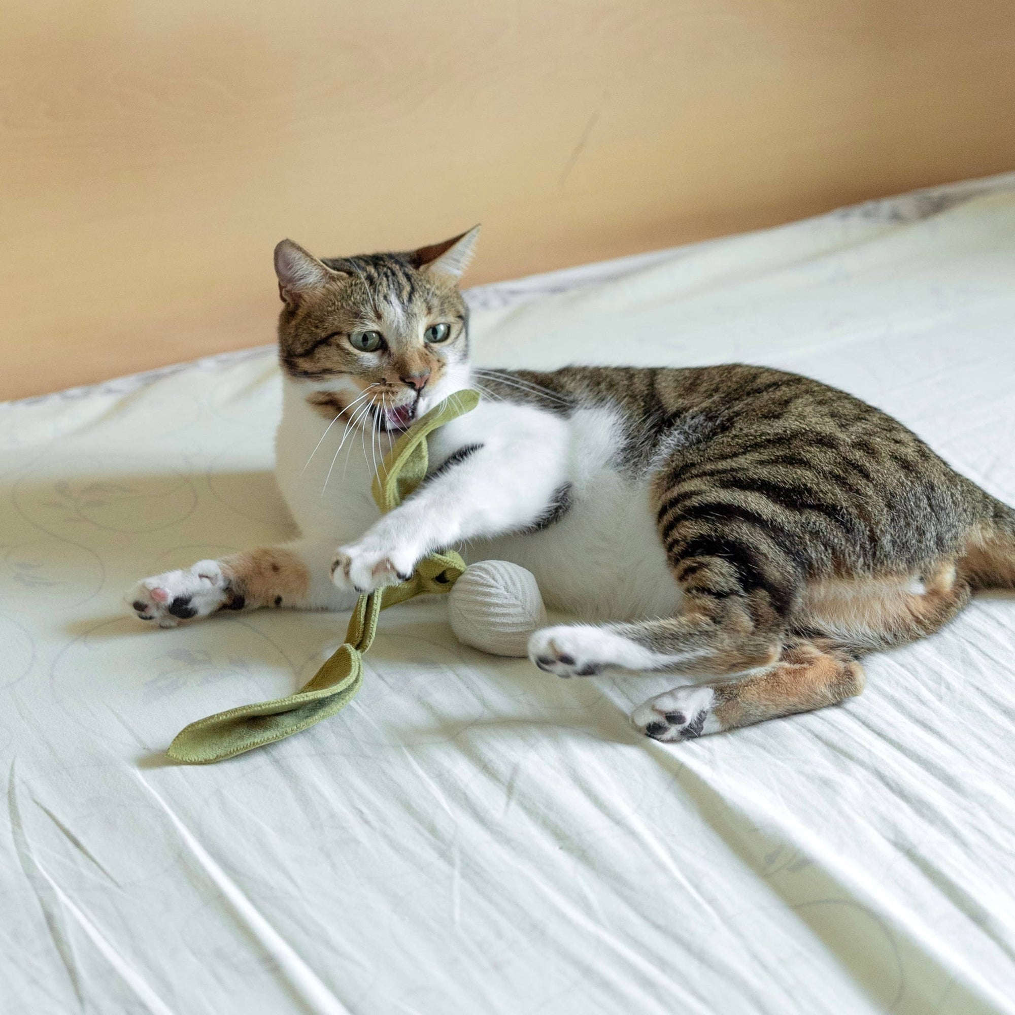 Lambwolf Collective - RADISH//CAT TOY: S/ CREAM