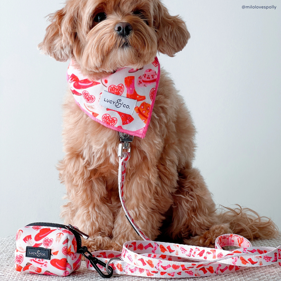 Lucy &amp; Co. - Howdy, Honey Leash: L