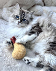 Lambwolf Collective - KITTY TEMPURA: Default Title