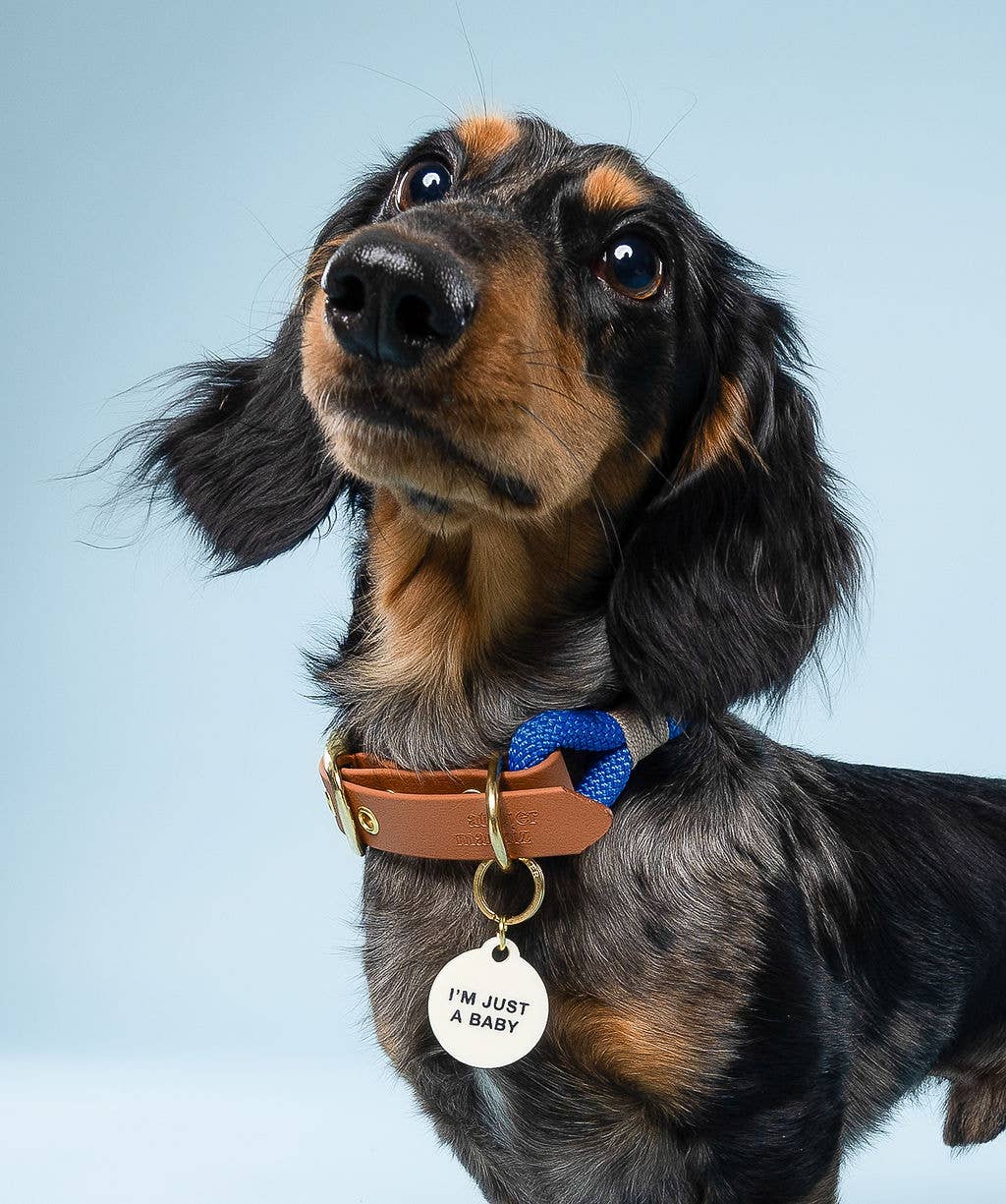 Freshwater Curated Goods™ - I'm Just A Baby Pet Tag