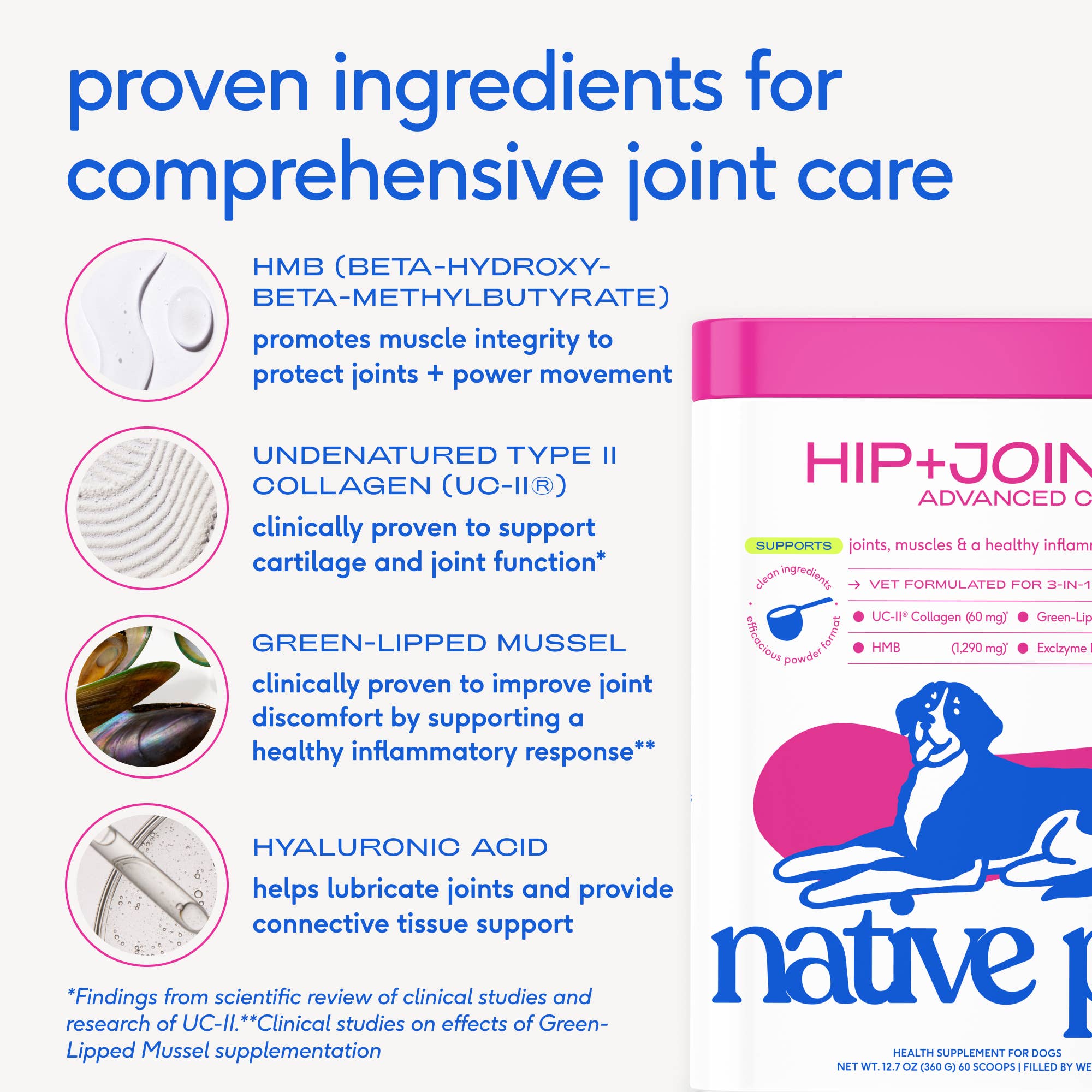 Native Pet - Hip+Joint Advanced Care Powder Joint, Muscle &amp; Inflammation: 60 scoops
