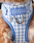 Lucy & Co. - Silly Goose No-Pull Harness