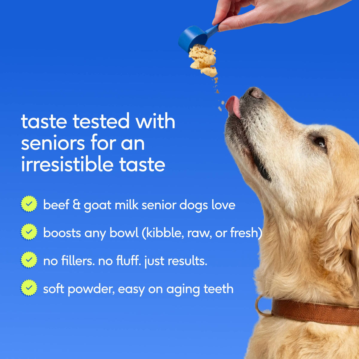 Native Pet - Senior Daily 12-in-1 Multivitamin Powder Supplement for Dogs: 30 scoops