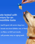 Native Pet - Senior Daily 12-in-1 Multivitamin Powder Supplement for Dogs: 60 scoops