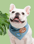 Scout's Honour Pty Ltd - Tippy Tapper iron-on patch for dogs and cats