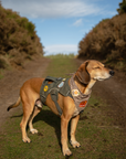 Scout's Honour Pty Ltd - Happiest Camper iron-on patch for dogs and cats