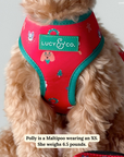 Lucy & Co. - Happy Howlidays Reversible Harness