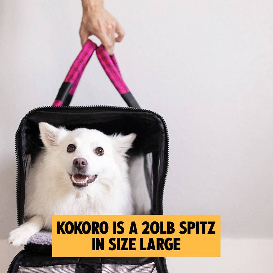 ROVERLUND - OUT-OF-OFFICE PET CARRIER PRO EDITION: BLACK / YELLOW / LARGE - UP TO 25LBS