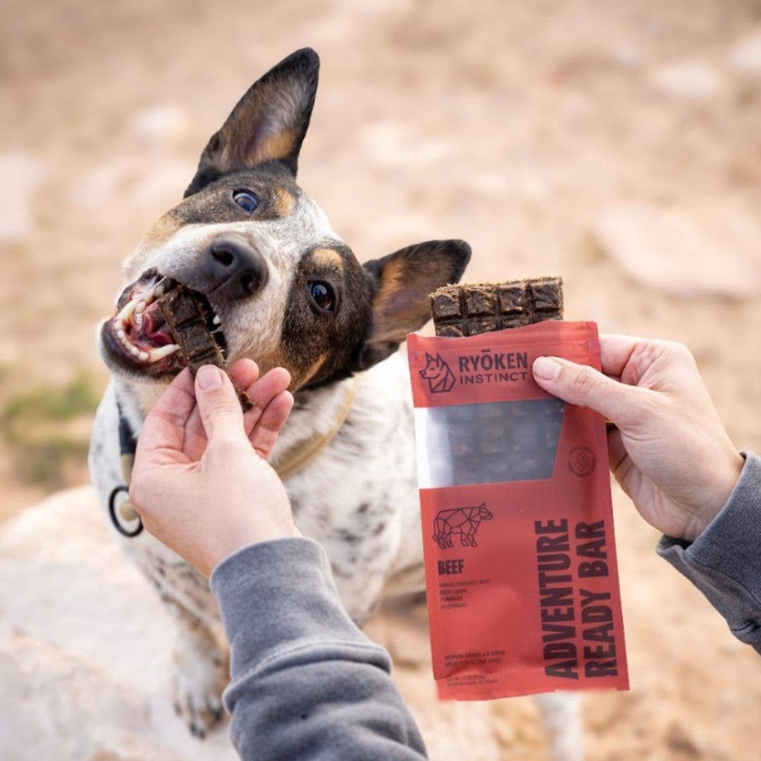 RYŌKEN INSTINCT -  Beef Treat &amp; Snack Bar for Active Dogs - Energy &amp; Recovery