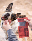 RYŌKEN INSTINCT -  Beef Treat & Snack Bar for Active Dogs - Energy & Recovery