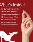 Fera Pets Cardiac Support for Dogs and Cats