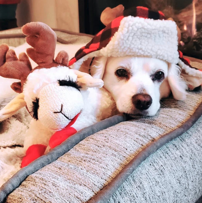 Pet Palette Distribution - Multipet Holiday Lamb Chop w/Antlers Dog Toy 10.5"