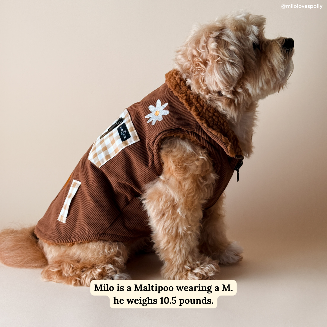 Lucy &amp; Co. - Chocolate Meadows Reversible Teddy Vest