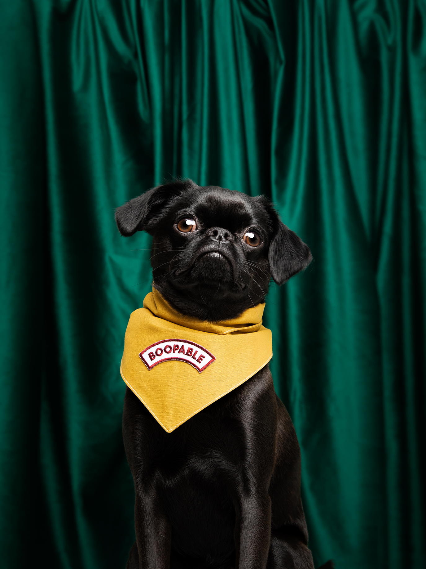 Scout's Honour Pty Ltd - Boopable iron-on patch for dogs