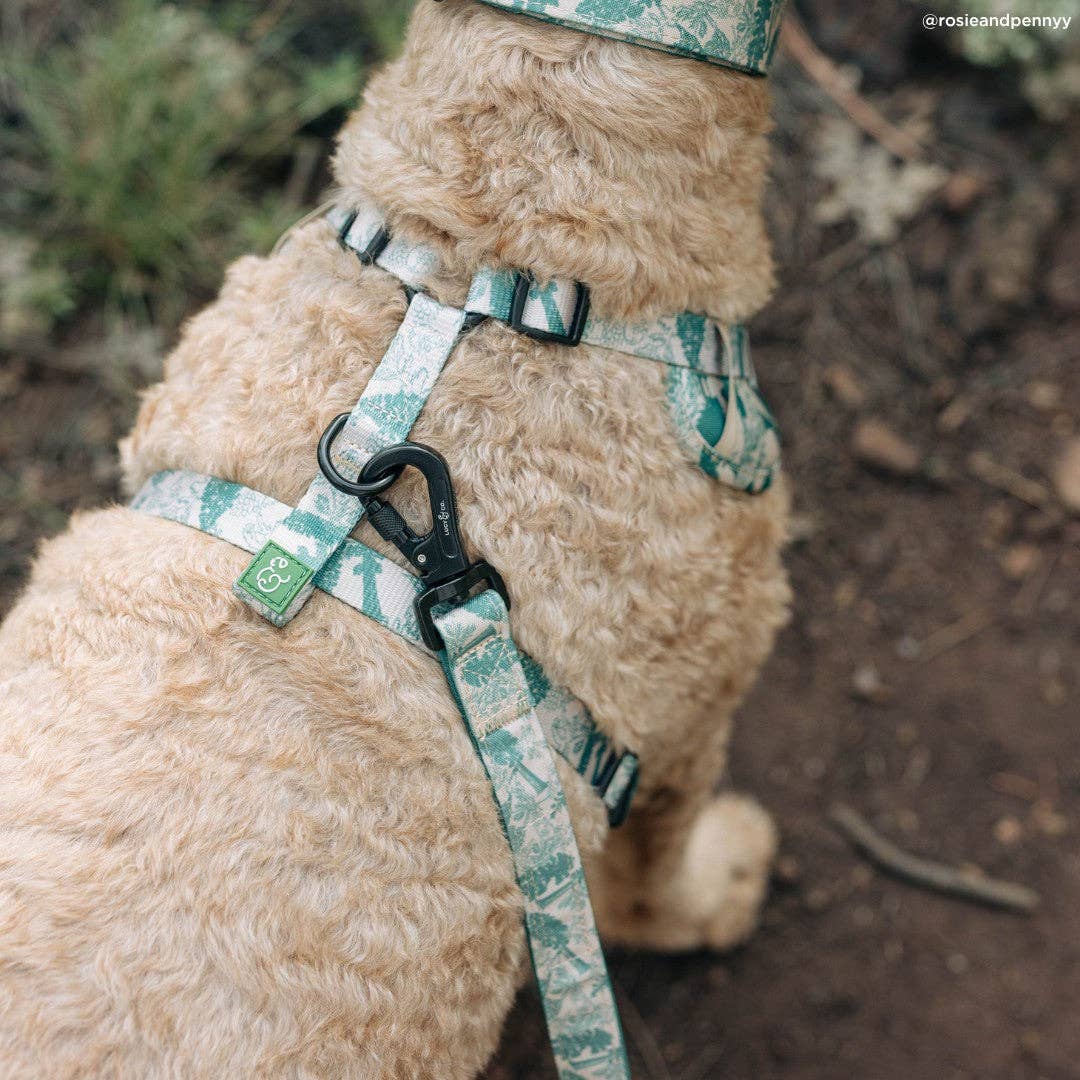 Lucy &amp; Co. - Lucy &amp; Co. x Parks Project Sequoia Seedlings No-Pull Harness